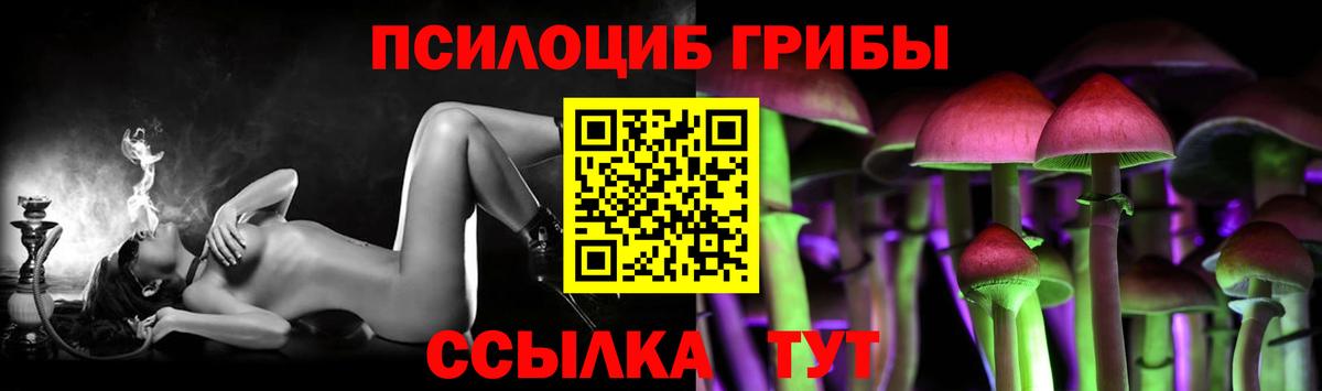 Псилоцибиновые грибы Psilocybe  Вход с VPN  Урай 